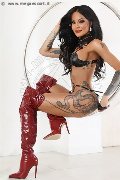 Foto Incontri Trans Padova Gabriela Martins Pornostar - 6