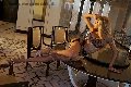 Foto Incontri Trans Roma Rebecca Ferraz Pornostar - 15