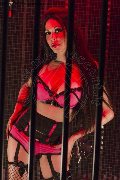 Foto Incontri Transescort Bergamo Erotika Flavy Star - 153