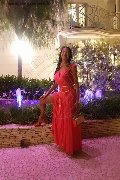 Foto Incontri Transescort Bergamo Erotika Flavy Star - 433