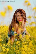 Foto Incontri Transescort Bologna Monica Kicelly - 202