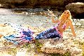 Foto Incontri Transescort Ibiza Nina La Divina - 112
