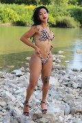Foto Incontri Transescort Paese Adriana Paulett - 116