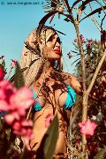 Foto Incontri Transescort Pescara Chrystal Medeiros Pornostar - 35