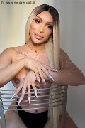 Foto Incontri Transescort Verona Angel Bunny - 1
