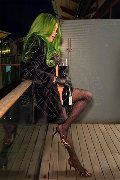 Foto Incontri Transescort Verona Kika Doncato - 21