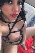 San Paolo Trans Aylla Gattina Pornostar 347 08 83 203 foto selfie 59