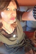 Treviso Trans Valeria 338 87 18 849 foto selfie 727