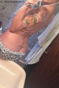 Treviso Trans Valeria 338 87 18 849 foto selfie 1036