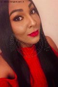 Cuneo Trans Escort Thalita Top Xxxl 388 48 85 062 foto selfie 4
