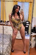 Dalmine Trans Escort Luisa 334 32 13 842 foto selfie 89