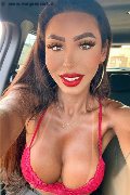 Gallarate Trans Escort Thayys Castro 329 72 89 046 foto selfie 20