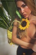 Ginevra Trans Escort Allien Ashtar  0041779468942 foto selfie 6