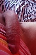 Isernia Trans Escort Alessandra Dior 371 52 12 112 foto selfie 88