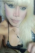 Milano Trans Escort Nicole Vip Venturiny 353 35 38 868 foto selfie 177