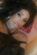 Mogliano Veneto Trans Escort Lara 329 34 14 239 foto selfie 15