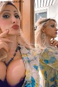 Monza Trans Escort Regina Audrey Italiana 388 98 31 116 foto selfie 188