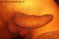 Porto Sant'elpidio Trans Escort Vittoria Mazza 334 77 63 969 foto selfie 18
