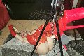 Foto Incontri Mistresstrans Roma Mistress Laura - 16