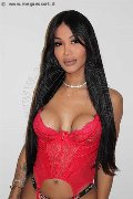 Foto Incontri Transescort Roma Mikaella Pimentell Pornostar - 4