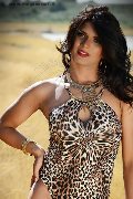 Foto Incontri Travescort Bologna Flavia Bambola - 90