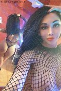 Kriens Trans Dana 333 78 34 320 foto selfie 12