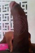 Bologna Trans Escort Naomy Xl 329 01 67 932 foto selfie 116