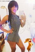 Salvador Bahia Trans Escort Stephanie  005571993836812 foto selfie 35