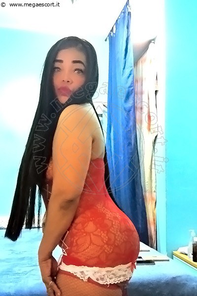 Laura BELLUNO 3509063529